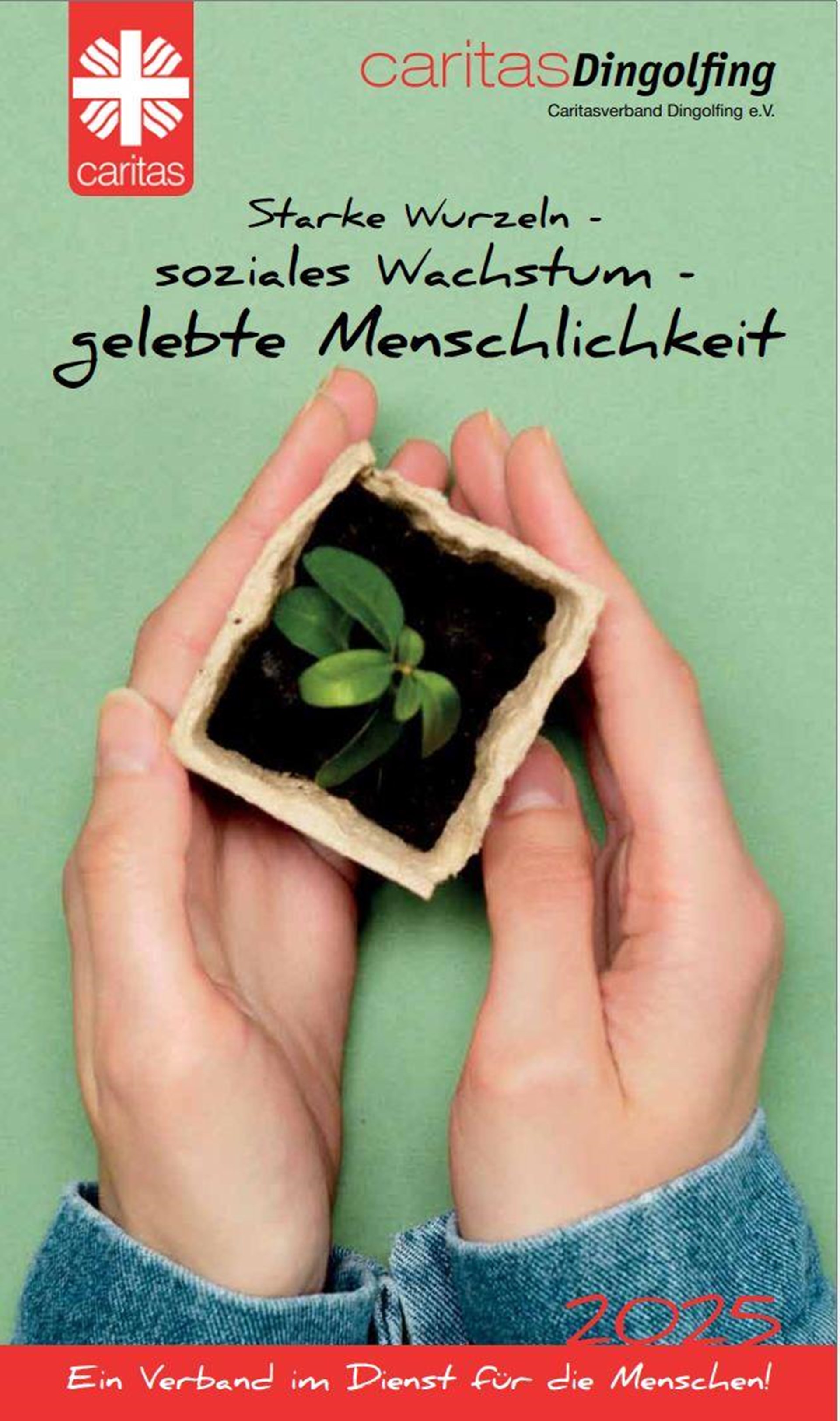 Jahresbericht 2025
